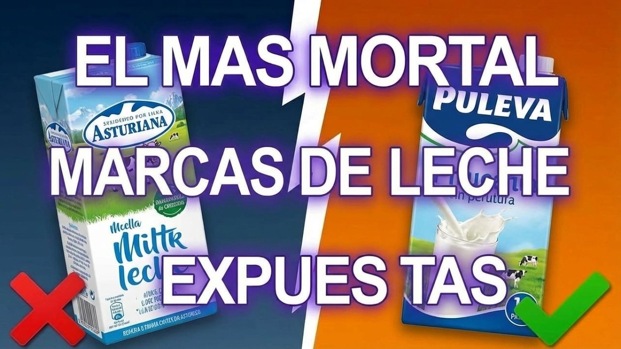 11 Marcas de Leche que DEBERÍAS EVITAR según la OCU (la más famosa de España está en la lista)