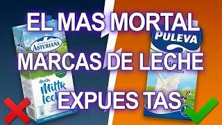 11 Marcas de Leche que DEBERÍAS EVITAR según la OCU (la más famosa de España está en la lista)