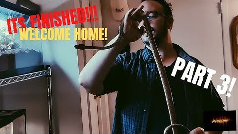 Bioactive Amazon Tree Boa setup - Plants and Final Product