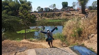 MANCING NILA DI SUNGAI PRECET