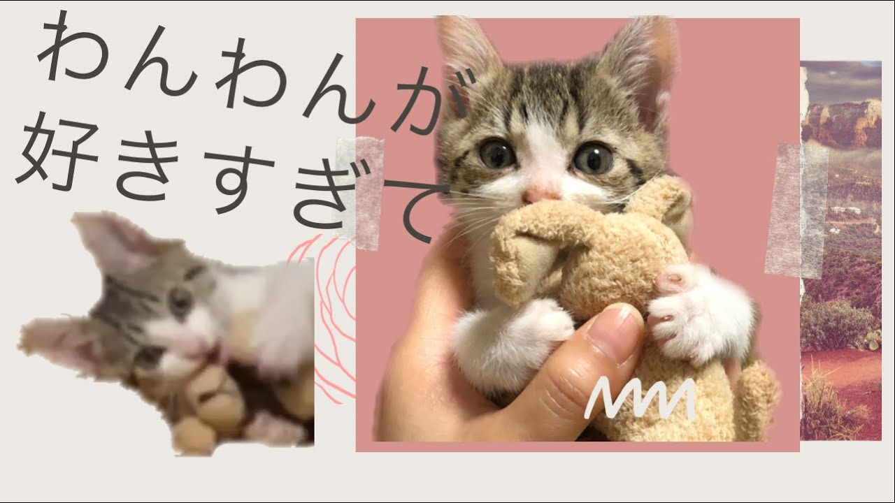 初めて見た犬のぬいぐるみが好きすぎる Youtube