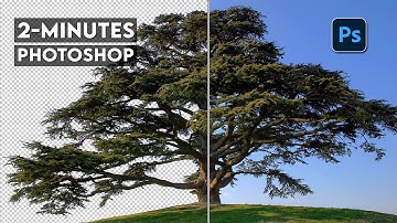 2-MINUTES PHOTOSHOP | REMOVE COMPLEX TREES BACKGROUND IN PHOTOSHOP