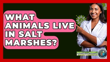 What Animals Live In Salt Marshes? - Earth Science Answers