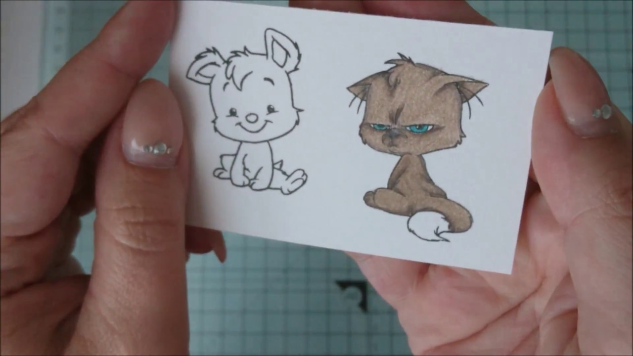 kleine Coloration - little grumpy Cat camera iphone 8 plus apk