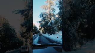 افران ازرو ، منظر جميل ل الثلوج في غابة ازرو قرب افران و جبل هبري في 2021 ?❄