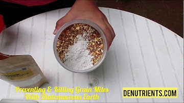 Preventing & Killing Flour/Grain Mites in Dry Feed - DENutrients Diatomaceous Earth