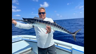 Pesca de Peto, Dorado, y Atun en Miami