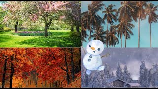 Kids Videoswinter Wonders A Seasonal Adventure