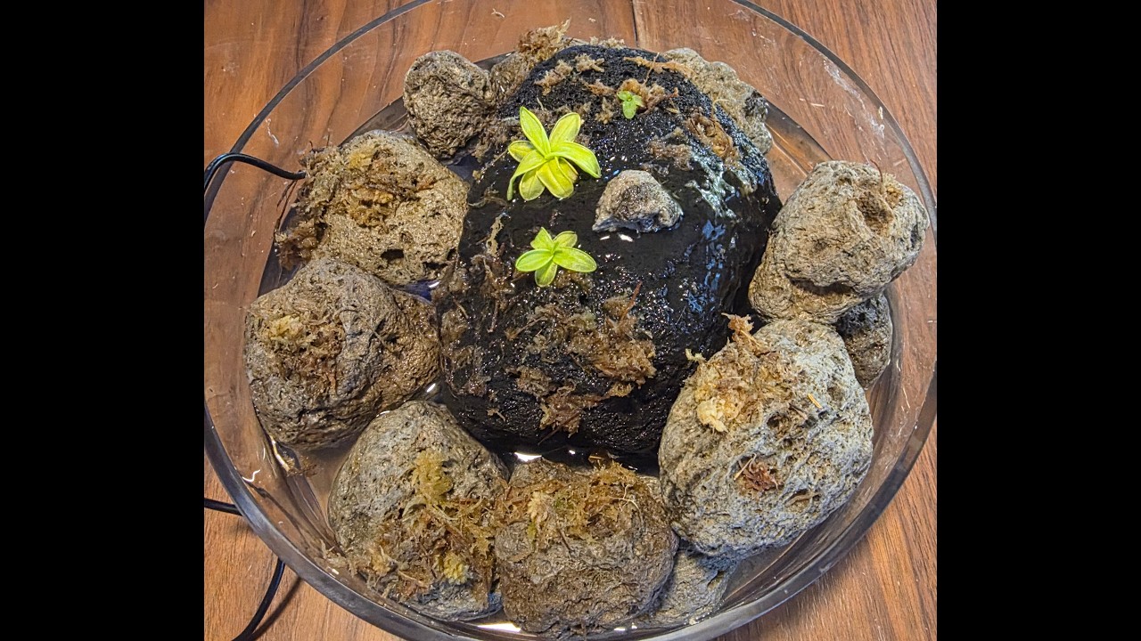 Pingdom Fountain Tutorial