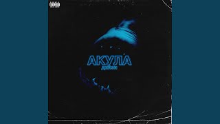 Акула - Дейзи