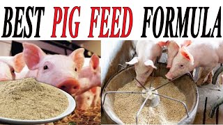 HOW TO START PIG FARMING ; How to make pig feed, Best pig feed formulation.Cheaper pig feed.Piggery