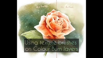 Using Colour Burn layers with paper brushes in Procreate