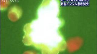 ピーク過ぎた？新型インフル患者、45都道府県で減少（09/12/11）