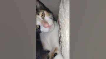 راحه نفسيه . القرآن الكريم #قرآن_كريم #tilawet #اكسبلور #تلاوة_خاشعة