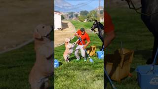 GTA V Franklin Helped By Dog 😭 | Puppy Life Saved #gta5