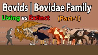 Bovidae Animals Size Comparison in 2024 | Bovidae Animals list with names classic animation style