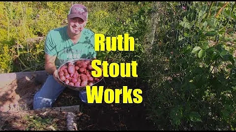 Potato Success with Ruth Stout Method