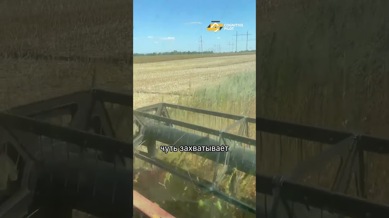 👀 Автопилот против сорняков 