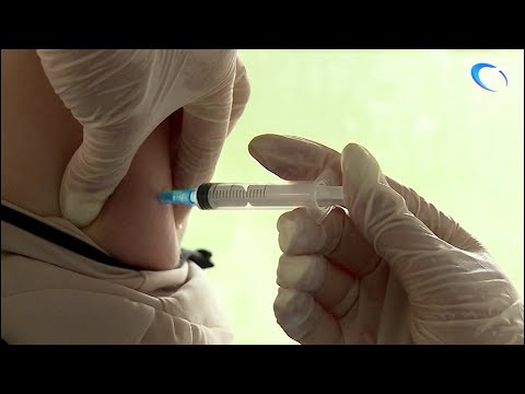Где в Великом Новгороде можно сделать прививку от гриппа?