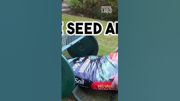 Weed-Free Lawn Secrets: No Chemicals Needed