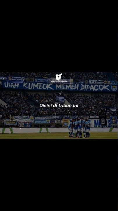 STORY WA 30 DETIK KAN KU DUKUNG PERSIB KU💙