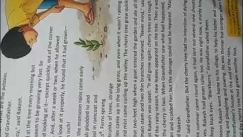The Cherry Tree 🍒🍒(part 3 ) class 6