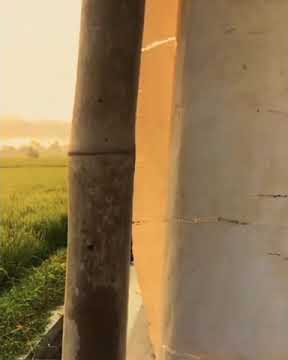 Story Wa 2021 || Story Wa Kekinian || Tik Tok Viral || Widodari || Story Wa Keren || Story Wa Baper