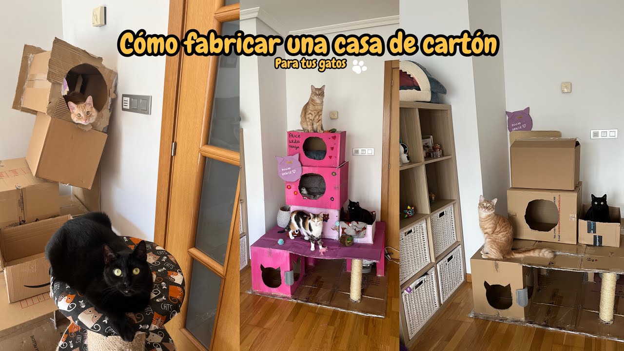 Cómo FABRICAR una casa DE CARTÓN para tus GATOS.