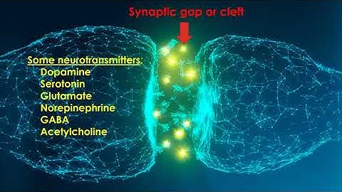 How does the nervous system communicate electrical and chemical messages from one part of the brain to another?