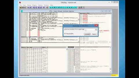 OllyDBG Crack Tutorial Basics!