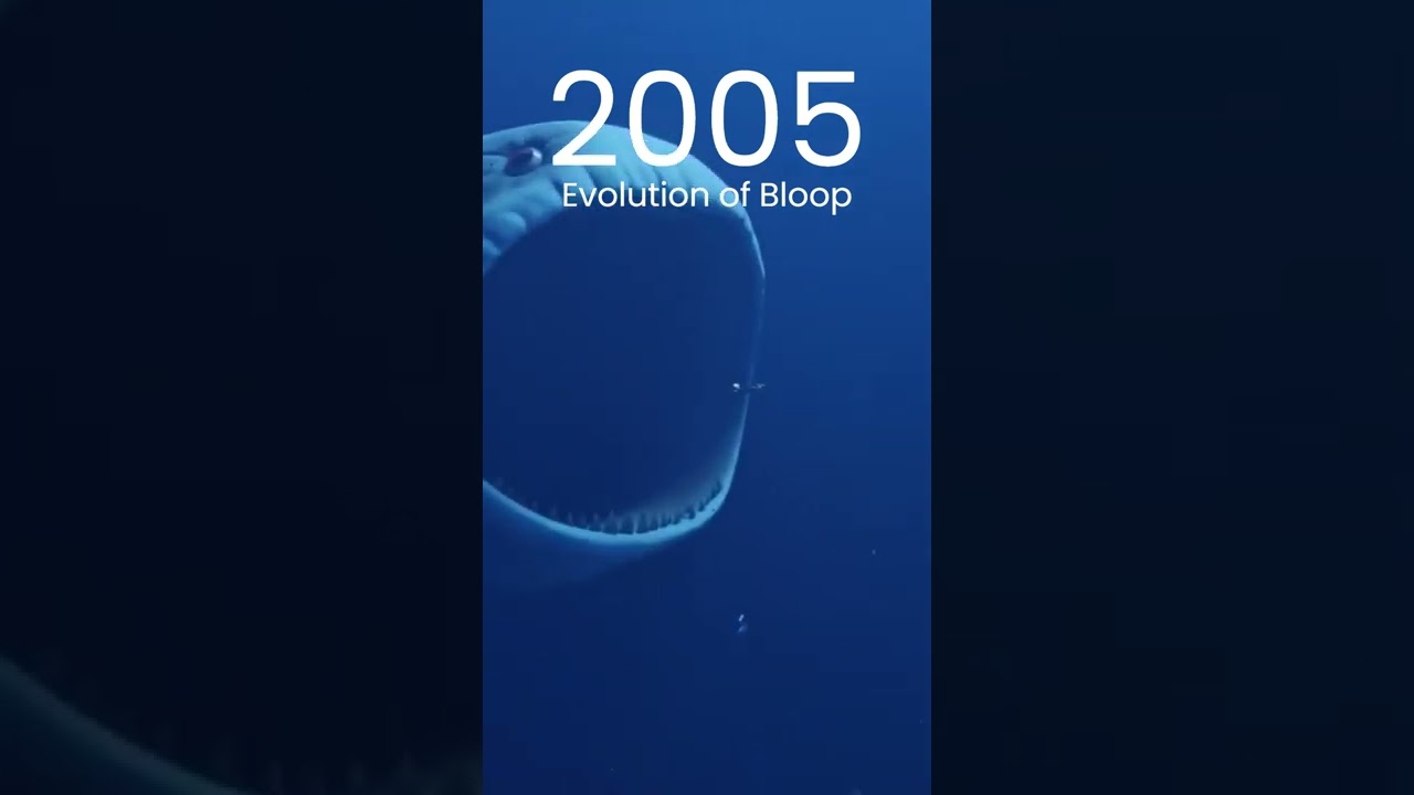 Evolution of Boop 