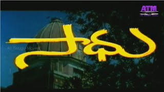 సధతలగడబబగ యకషన సనమఅరజనరవనటడనవజయకమరగడరమనవ.వజయప.వసSaadhu