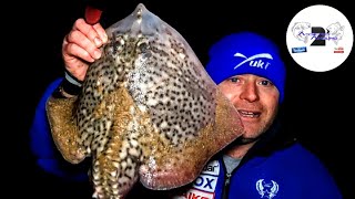 Beach Fishing - Night Fishing Hints & Tips Plus Thornback Ray Fishing At Felixstowe