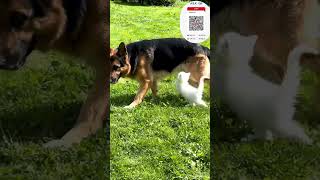 #talk #morther #dog #cat #children