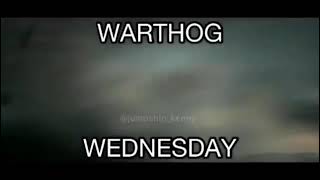 Warthog Wednesday