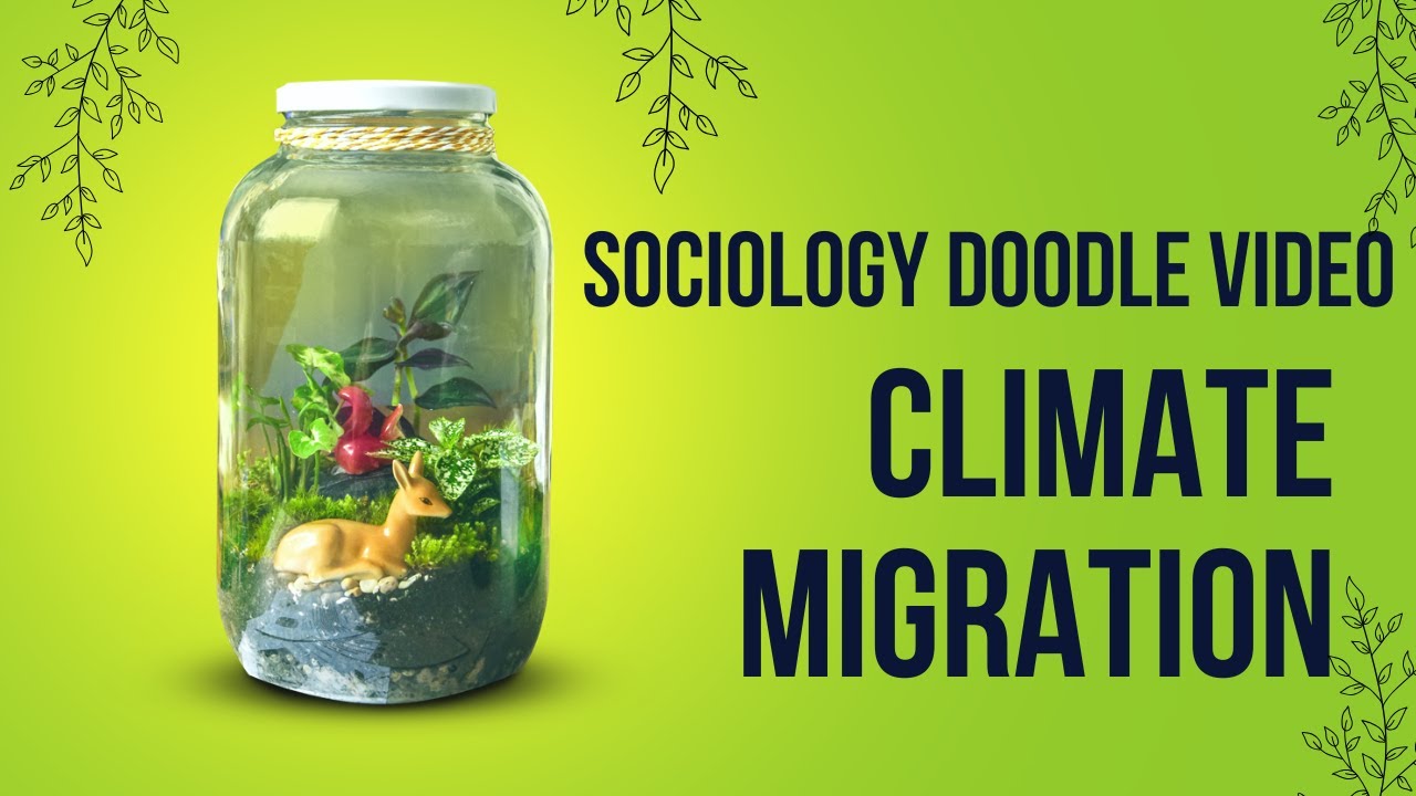 Climate Migration: When the Earth Forces Us to Move | Sociology of a Changing World