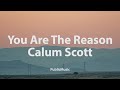 You Are The Reason - Calum Scott (30minutes Lyric Video)
