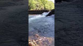Parques naturales en Galicia: Fragas do Eume en Pontedeume, A Coruña