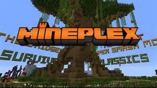 Master Builders Mineplex Server