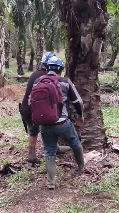 Liat lubang mau di gass aja🤣 #perkebunan #funny #viral #fyp