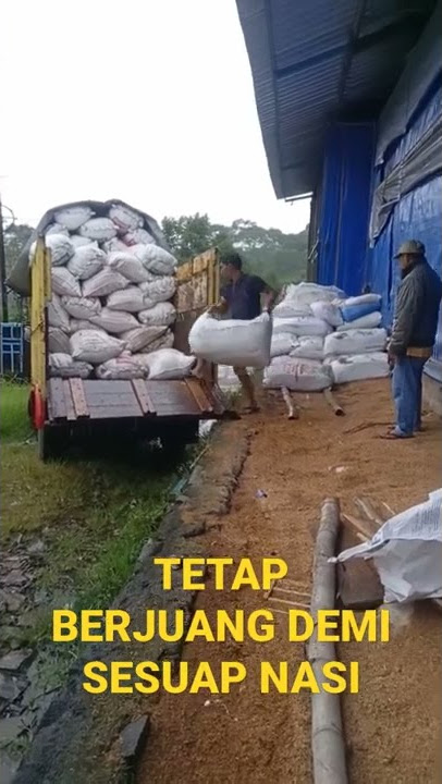 MUAT TEMBELEK SINGA #fyp #tiktokviral #akademiyoutuber #jaganlupasubscribe