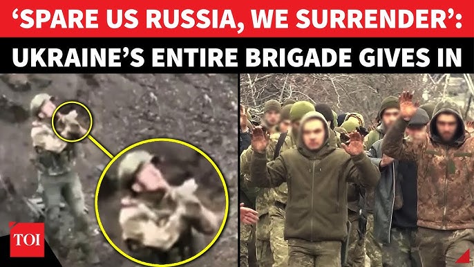 Katta xorozlar bilan porno modellar Pastdan yalangoch korinish