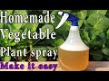 Homemade  natural pesticide  spray for veggies plant  urdu  hindi