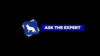 Ask The Expert: Finding Hidden Time to Train your Puppy