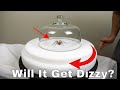 Download Do Spiders Actually Get Dizzy? Spinning A Hobo Spider On A Turntable Then Lettin Do Spiders Actually Get Dizzy? Spinning A Hobo Spider On A Turntable Then Lettin