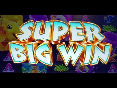 More So Hot WAP wins at Kickapoo Casino