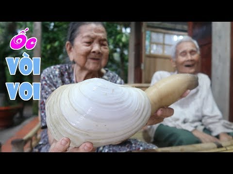 Video Ăn thử ỐC VÒI VOI tái chanh | Chuyện Phương Kể • Tập 23 - youtube