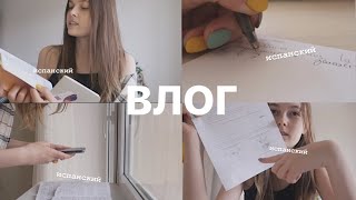 Теперь я учу испанский КАЖДЫЙ ДЕНЬ | УЧИСЬ СО МНОЙ | ВЛОГ