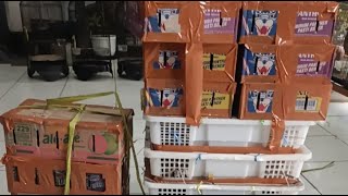 Download Lagu BONGKARAN SABTU CERIA SORE PESONA ATB 14.02.2026 MP3