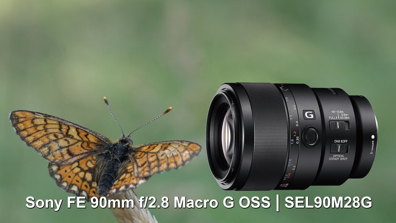 Sony FE 90mm f2.8 Macro G OSS video test - (4K)